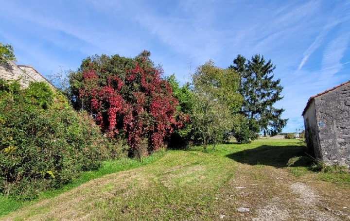 Maison NERE (17510)  350 m2 38 900 € 