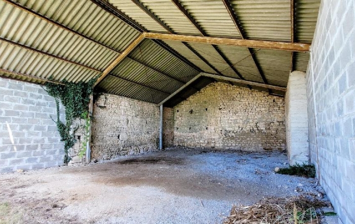 Maison NERE (17510)  350 m2 38 900 € 