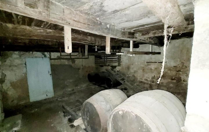 Maison NERE (17510)  350 m2 38 900 € 