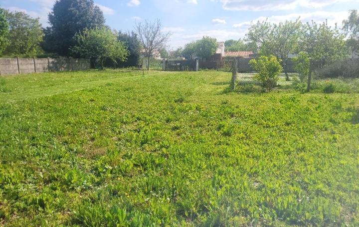 Terrain SURGERES (17700)  790 m2 102 000 € 