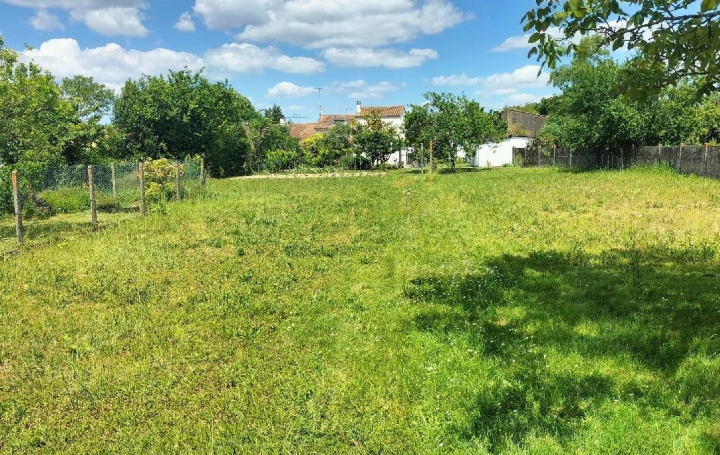 Terrain SURGERES (17700)  790 m2 102 000 € 