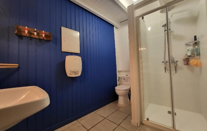 Maison VOUHE (17700)  239 m2 449 000 € 