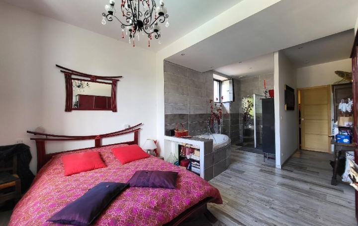 Maison SAINT-JEAN-D'ANGELY (17400)  269 m2 724 000 € 