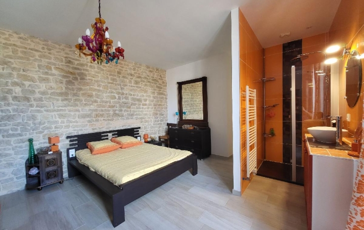 Maison SAINT-JEAN-D'ANGELY (17400)  269 m2 724 000 € 