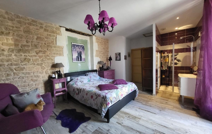 Maison SAINT-JEAN-D'ANGELY (17400)  269 m2 724 000 € 