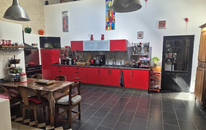 Maison SURGERES (17700)  362 m2 469 000 € 