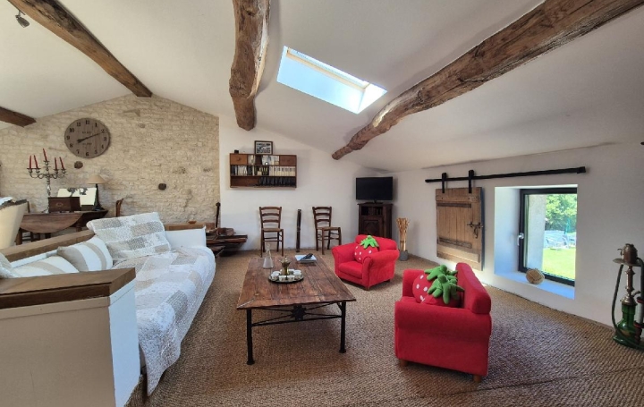 Maison SURGERES (17700)  362 m2 469 000 € 