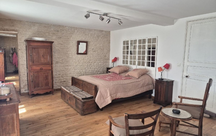 Maison SURGERES (17700)  362 m2 469 000 € 