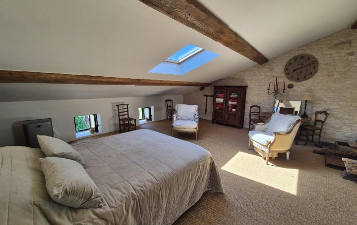 Maison SURGERES (17700)  362 m2 469 000 € 