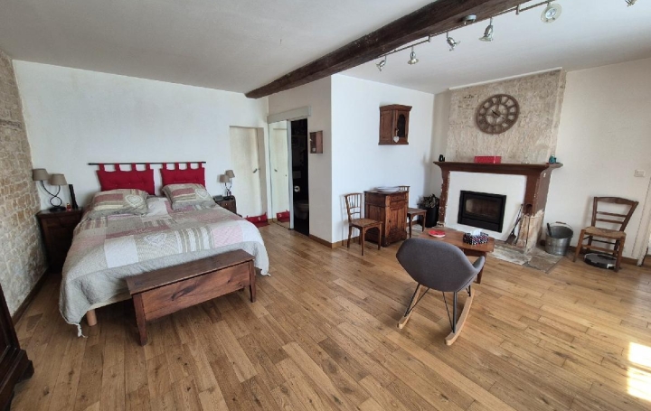 Maison SURGERES (17700)  362 m2 469 000 € 