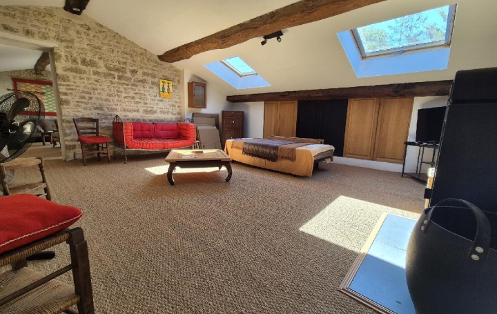 Maison SURGERES (17700)  362 m2 469 000 € 