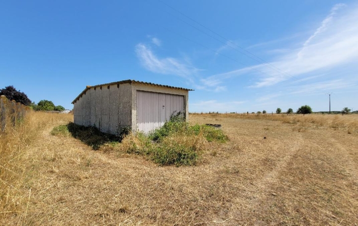 Terrain SAINT-PIERRE-DE-L'ISLE (17330) 2 890 m<sup>2</sup> 44 400 € 