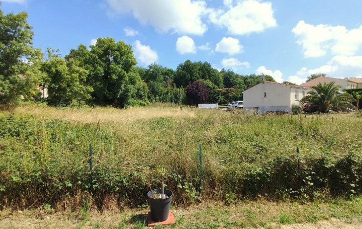 Terrain ECOYEUX (17770)  974 m2 36 000 € 