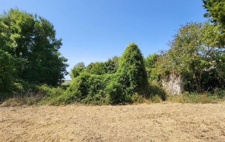 Terrain SAINT-JEAN-D'ANGELY (17400) 828 m<sup>2</sup> 14 000 € 