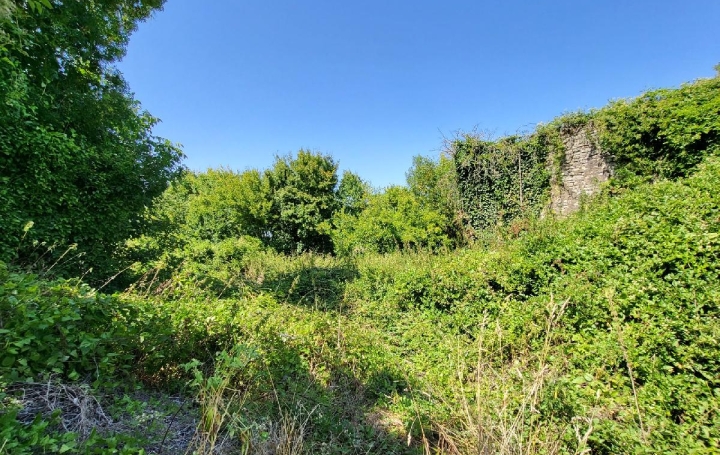 Terrain SAINT-JEAN-D'ANGELY (17400)  828 m2 14 000 € 
