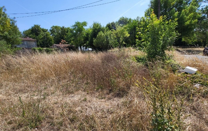 Terrain SAINT-JEAN-D'ANGELY (17400)  828 m2 14 000 € 