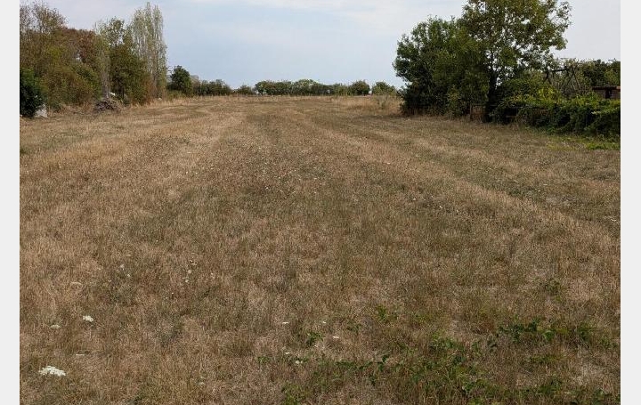 Terrain SAINT-HILAIRE-LA-PALUD (79210) 2 604 m<sup>2</sup> 97 000 € 