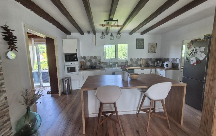 Maison LES EGLISES-D'ARGENTEUIL (17400)  200 m2 238 000 € 