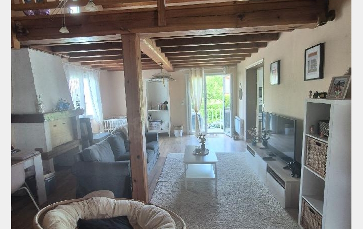 Maison LES EGLISES-D'ARGENTEUIL (17400)  200 m2 238 000 € 