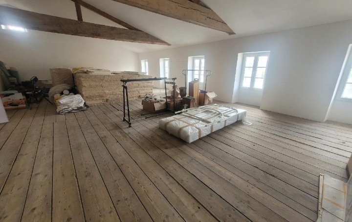 Maison SAINT-JEAN-D'ANGELY (17400)  309 m2 335 000 € 