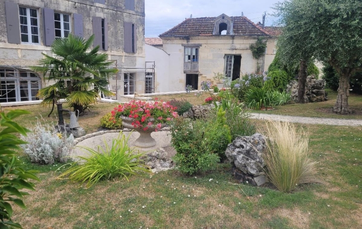 Maison SAINT-JEAN-D'ANGELY (17400)  309 m2 335 000 € 