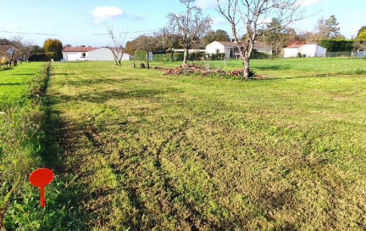 Terrain ECOYEUX (17770)  1 113 m2 35 000 € 