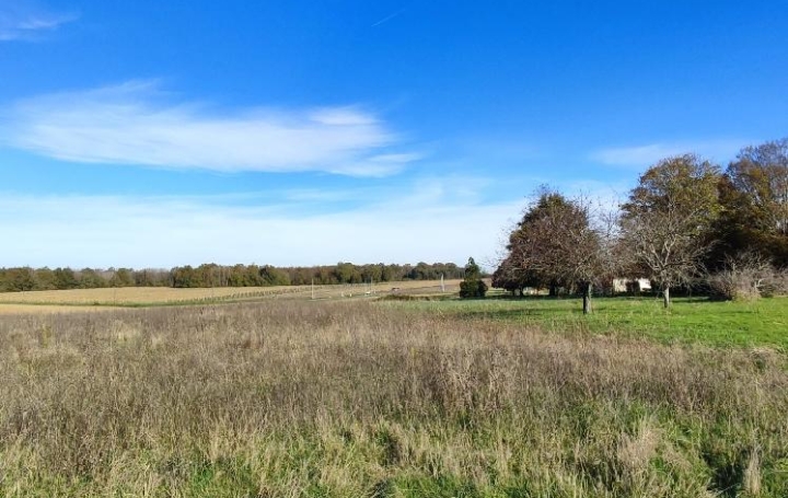 Terrain ECOYEUX (17770)  8 255 m2 49 800 € 