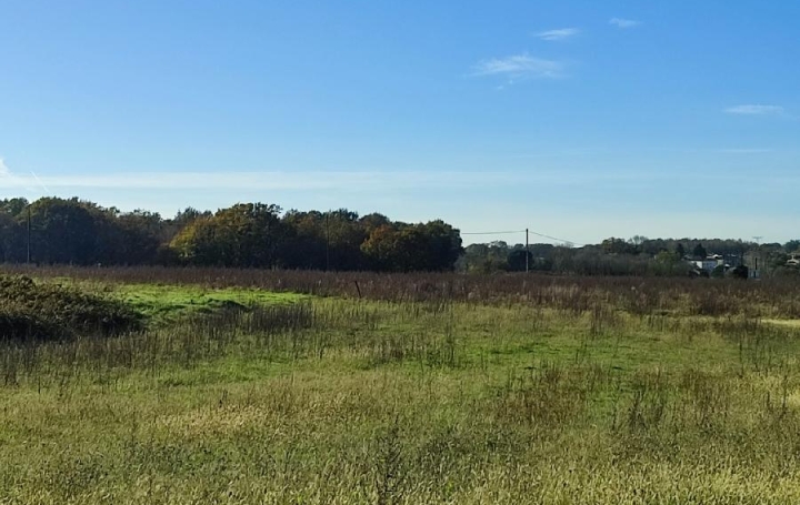 Terrain ECOYEUX (17770)  8 255 m2 49 800 € 