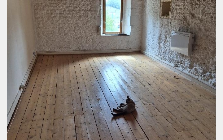 Maison SAINT-FELIX (17330)  240 m2 180 000 € 