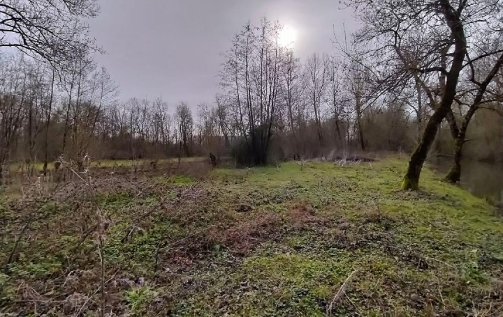 Terrain SAINT-HILAIRE-LA-PALUD (79210) 5 000 m<sup>2</sup> 26 000 € 