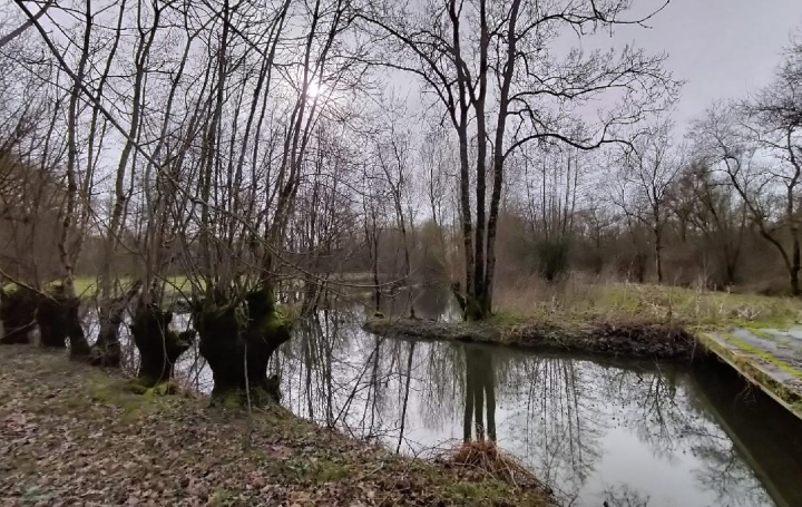 Terrain SAINT-HILAIRE-LA-PALUD (79210)  5 000 m2 26 000 € 