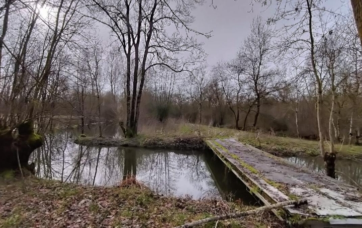 Terrain SAINT-HILAIRE-LA-PALUD (79210)  5 000 m2 26 000 € 