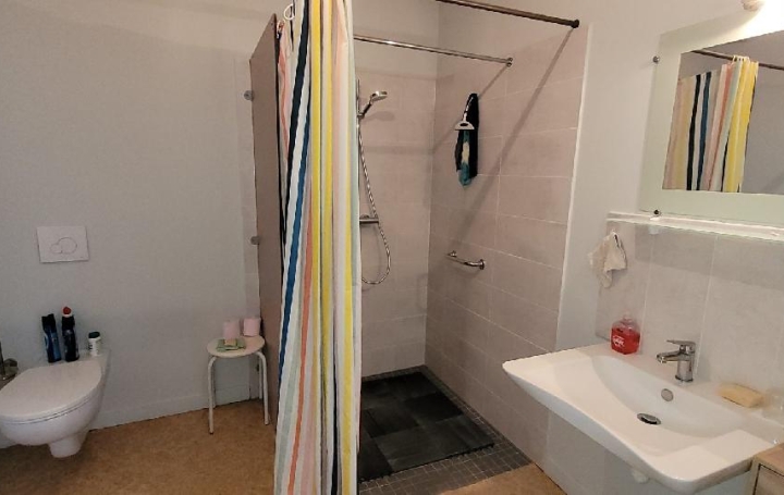 Maison PAILLE (17470)  200 m2 196 000 € 