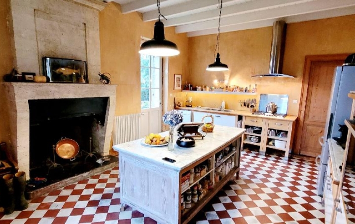 Maison PUGNAC (33710)  408 m2 786 600 € 