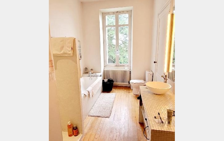 Maison PUGNAC (33710)  408 m2 786 600 € 