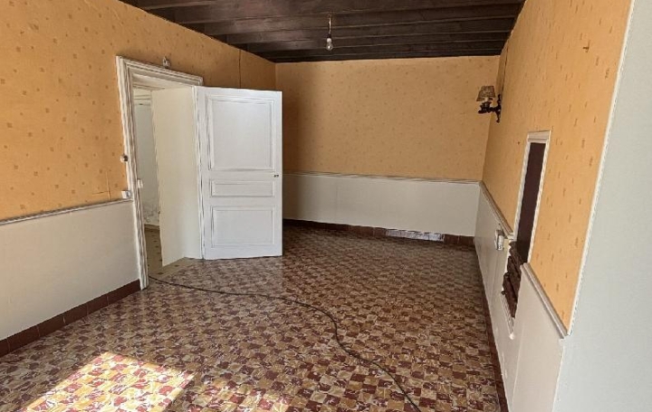 Maison MAUZE-SUR-LE-MIGNON (79210)  268 m2 169 500 € 