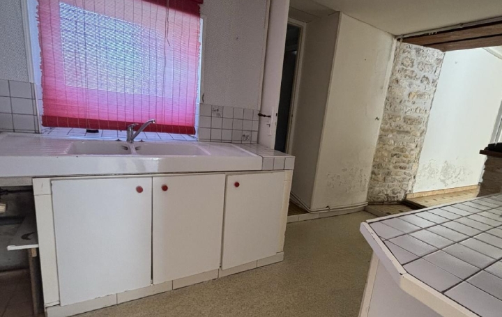 Maison MAUZE-SUR-LE-MIGNON (79210)  268 m2 169 500 € 