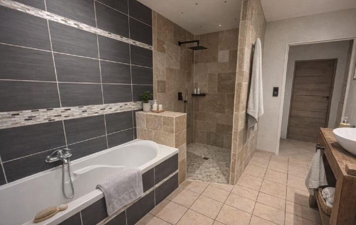 Maison MAUZE-SUR-LE-MIGNON (79210)  245 m2 248 000 € 