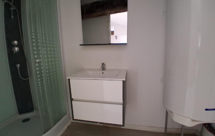 Maison SAINT-JEAN-D'ANGELY (17400)  53 m2 65 000 € 