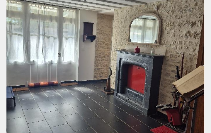 Maison SURGERES (17700)  362 m2 436 000 € 
