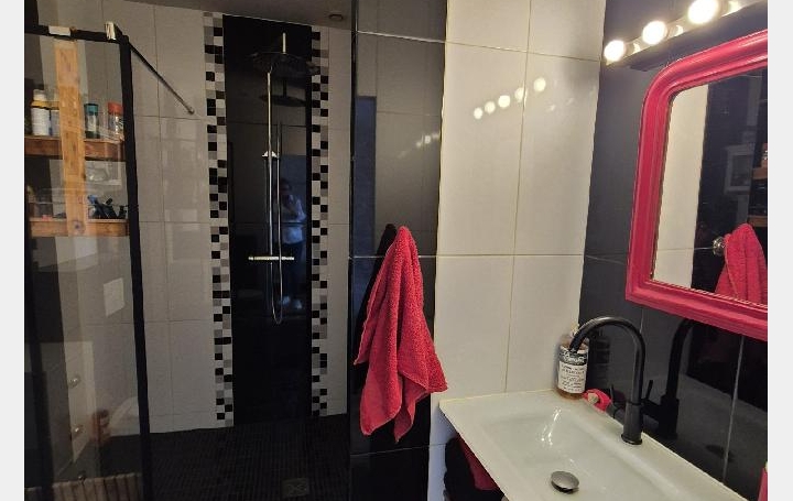 Maison SURGERES (17700)  362 m2 436 000 € 
