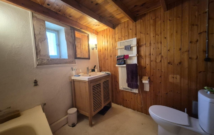 Maison SAINT-SAVINIEN (17350)  148 m2 210 000 € 