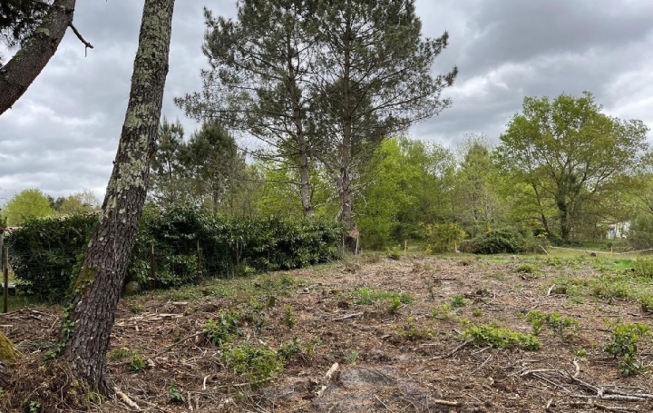 Terrain BALIZAC (33730)  585 m2 41 250 € 