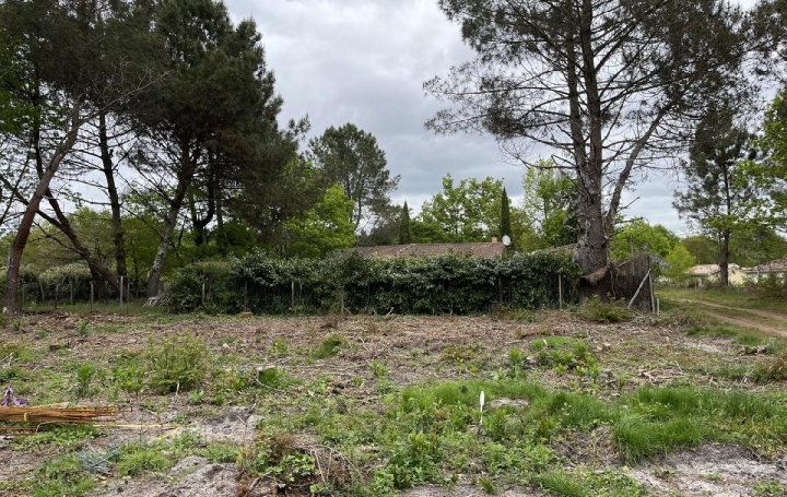 Terrain BALIZAC (33730)  585 m2 41 250 € 