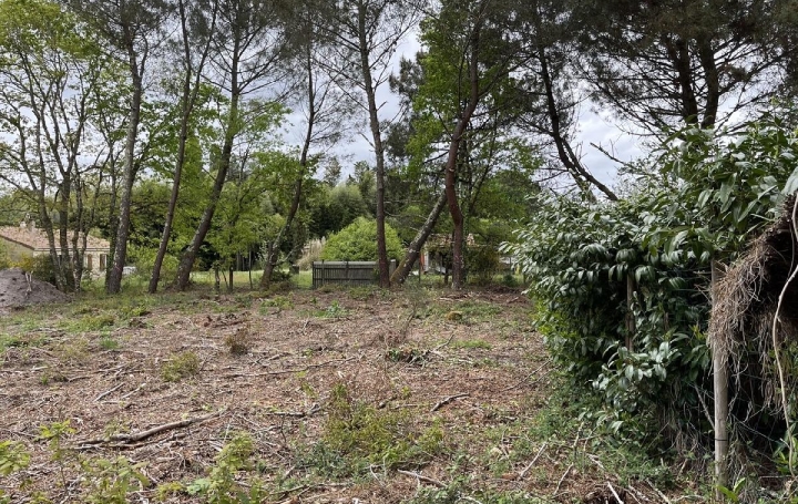 Terrain BALIZAC (33730)  585 m2 41 250 € 