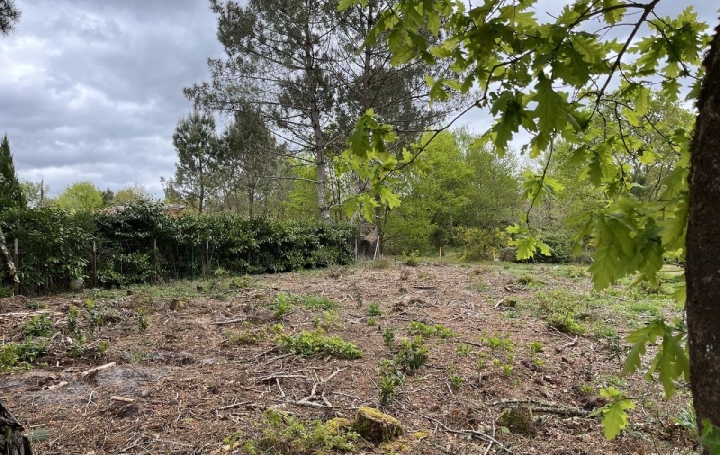 Terrain BALIZAC (33730)  585 m2 41 250 € 