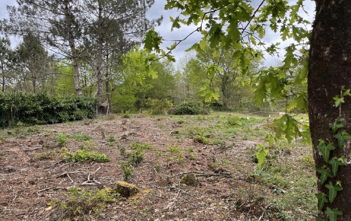 Terrain BALIZAC (33730)  585 m2 41 250 € 
