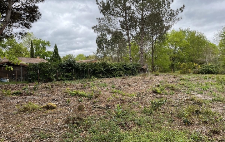 Terrain BALIZAC (33730)  585 m2 41 250 € 