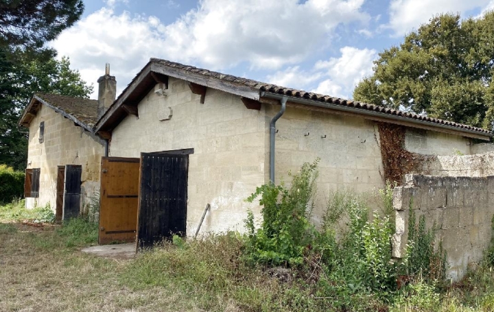 Terrain SAINT-SULPICE-DE-FALEYRENS (33330)  25 000 m2 850 000 € 