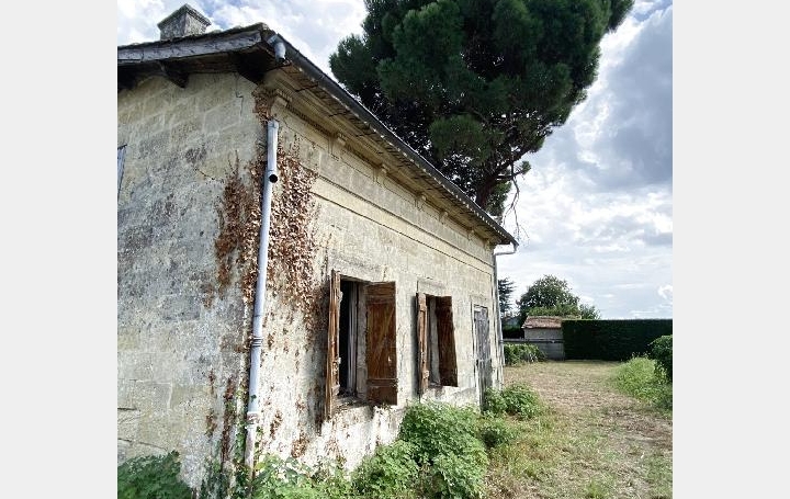 Terrain SAINT-SULPICE-DE-FALEYRENS (33330)  25 000 m2 850 000 € 